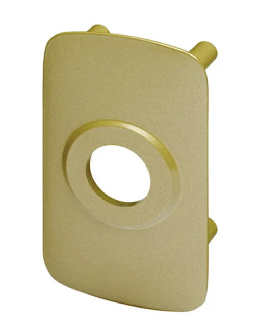 Plaque de renfort pour verrou renforcé, VACHETTE 6704 v/sc bronze
