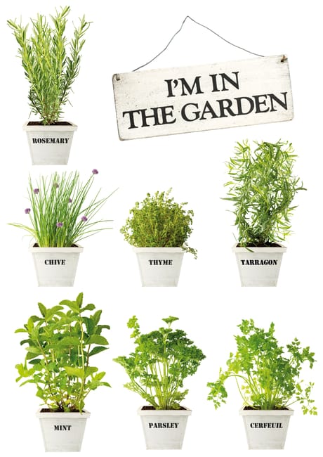 Sticker décoratif In the garden, vert, 48 cm x 68 cm