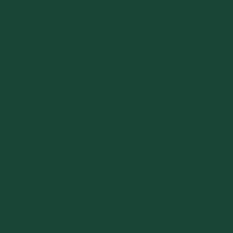 Peinture Laque pour bois extérieur SIKKENS, vert basque satiné 2.5 l
