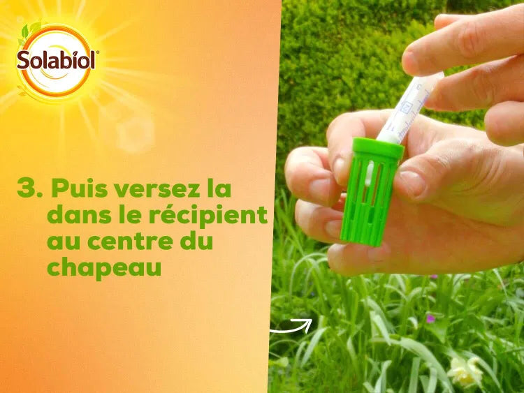 PIEGE PHEROMONE PYRALE DU BUIS SOLABIOL