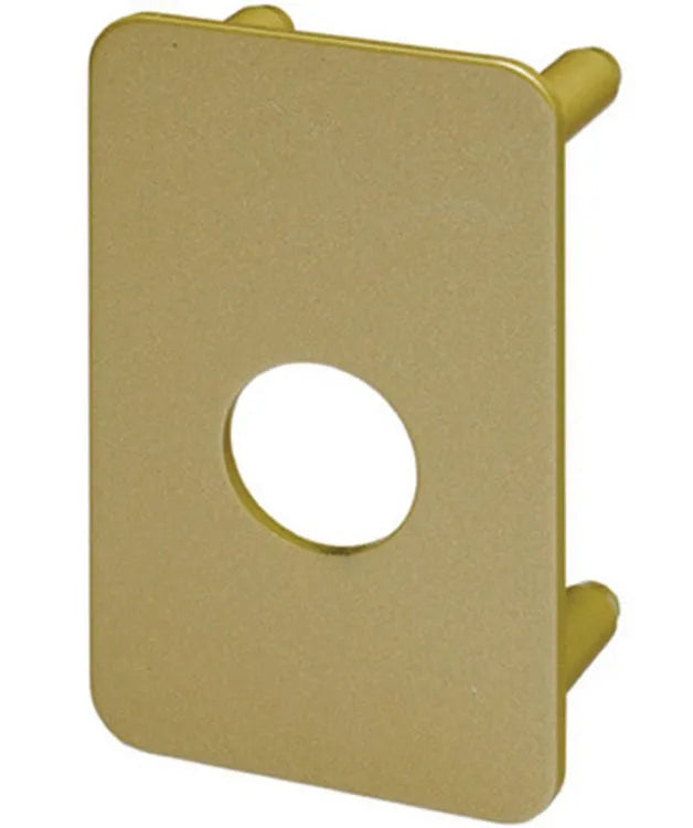 Plaque de renfort pour verrou renforcé, VACHETTE 6754v/sc bronze