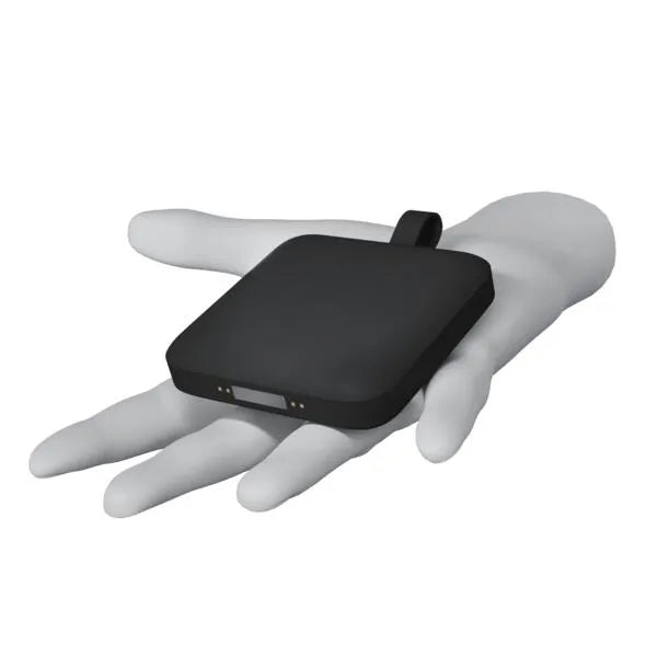 Batterie solaire rechargeable USB-C Booster, INSPIRE