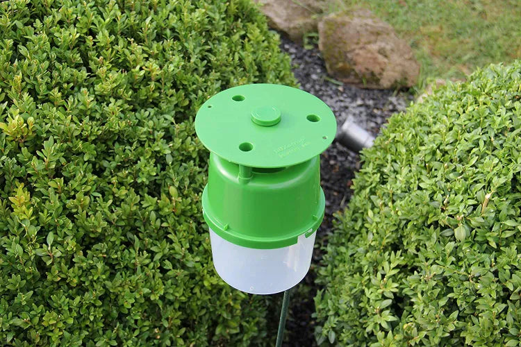 Traitement des insectes SOLABIOL, 1 piège + 2 seringues