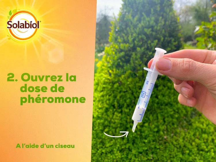 PIEGE PHEROMONE PYRALE DU BUIS SOLABIOL