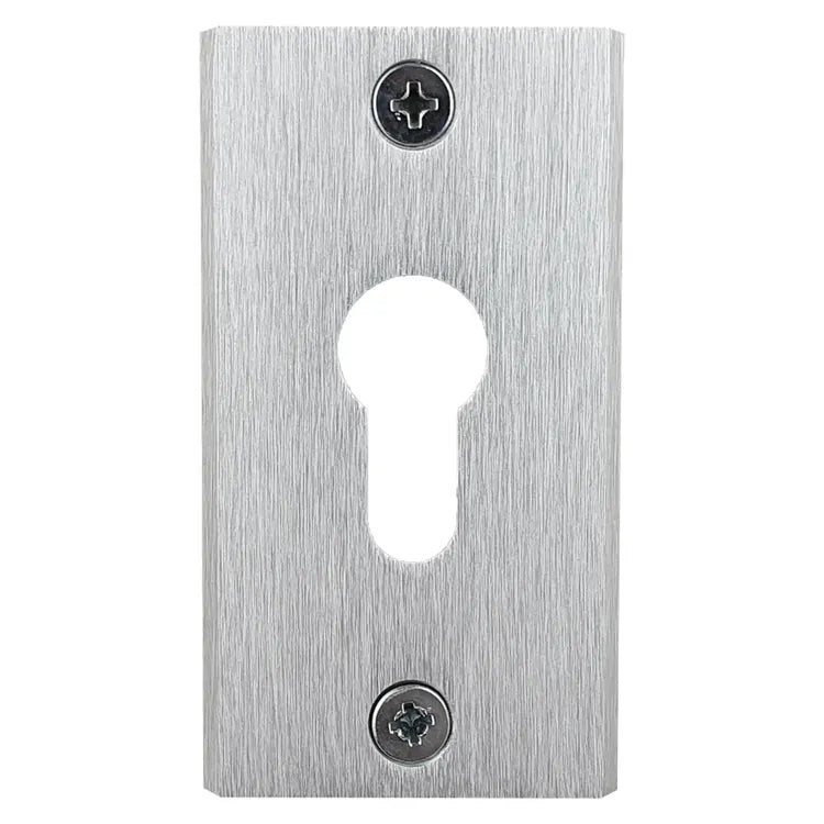 2 rosaces de fonction blindées Securit ALPERTEC, 50 x 60 mm, aluminium argent