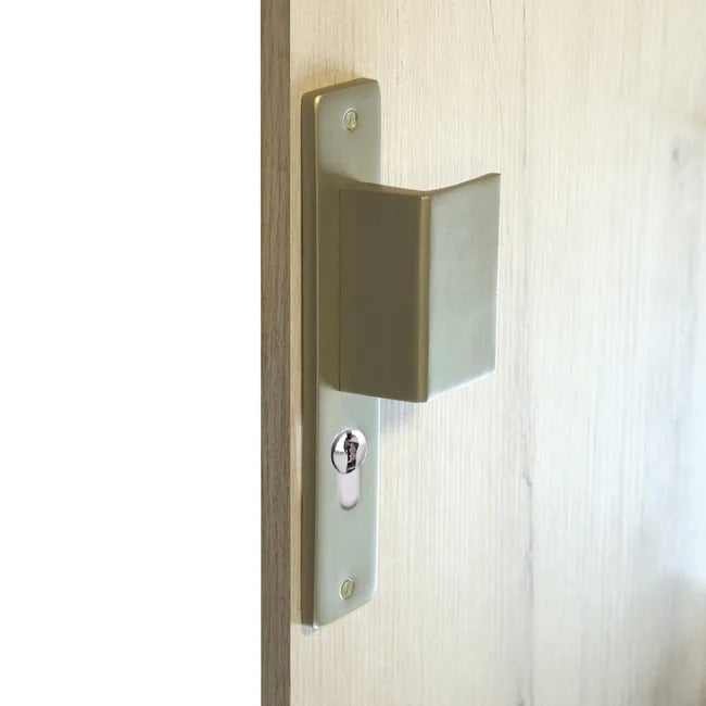 2 poignées sur plaque à cylindre Joffrin aluminium laiton satiné, entraxe 195 mm
