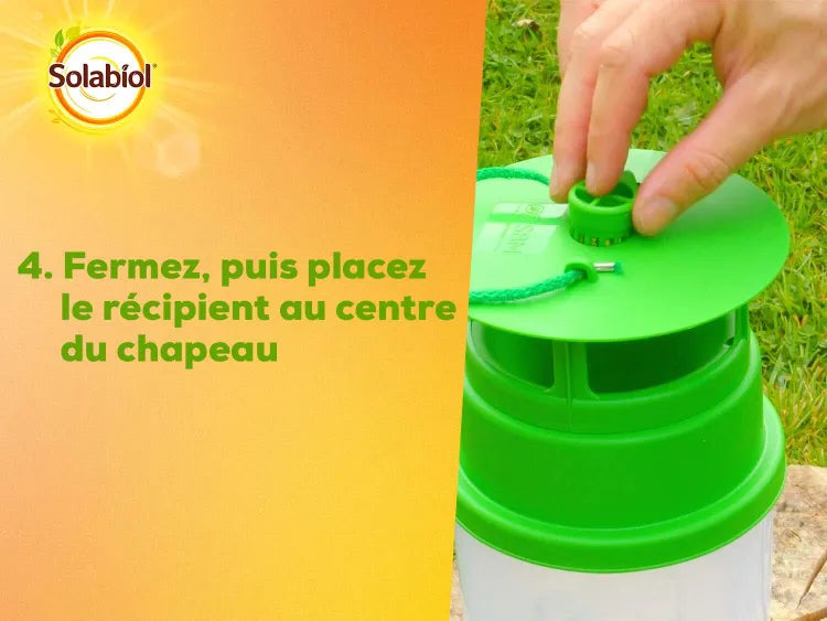 PIEGE PHEROMONE PYRALE DU BUIS SOLABIOL