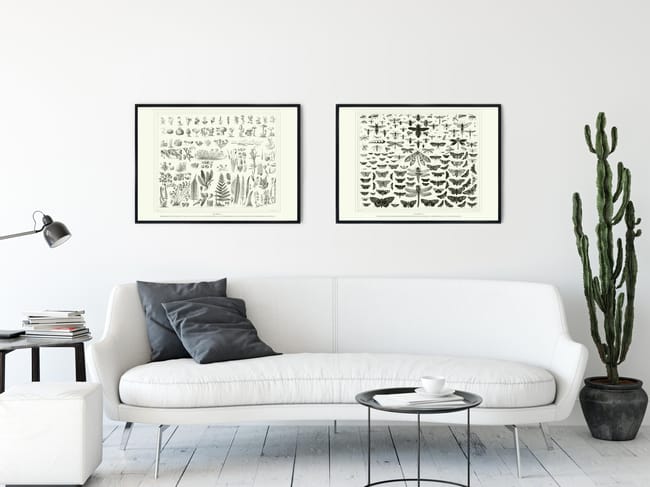 Affiche Papillons, beige EDITIONS BRAUN l.50 x H.70 cm