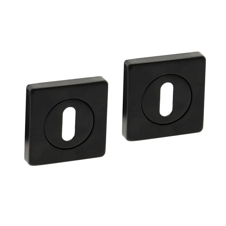 2 rosaces de fonction A12 CHRISLIGNE, acier entrée de clé