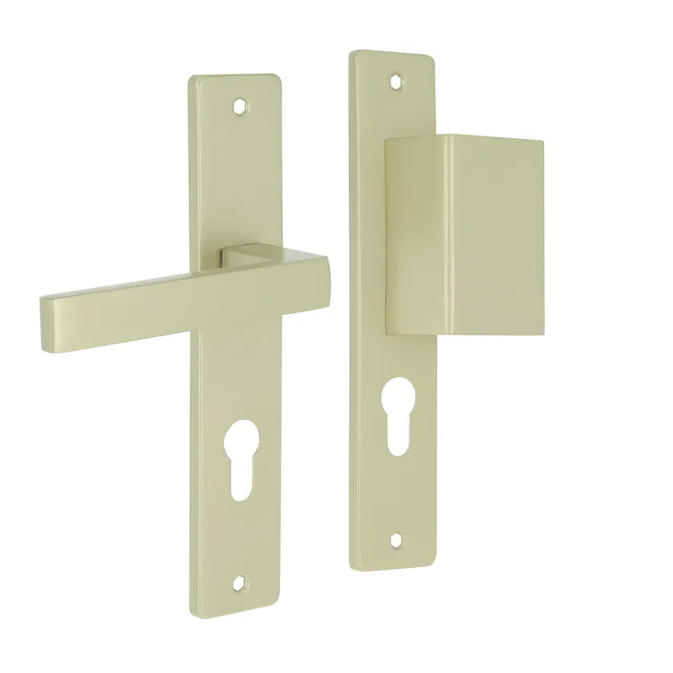 2 poignées sur plaque à cylindre Joffrin aluminium laiton satiné, entraxe 195 mm