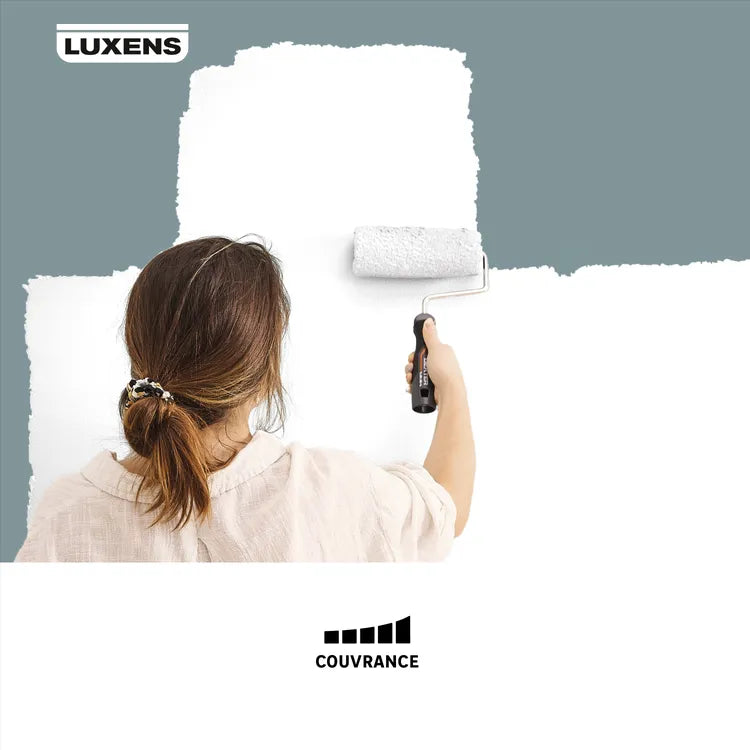 Peinture mur, boiserie, radiateur blanc satin LUXENS Couvrant 5L