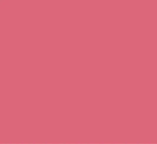 Peinture rose fushia mur et boiserie Chambre d'enfants RIPOLIN satiné 0.5 l