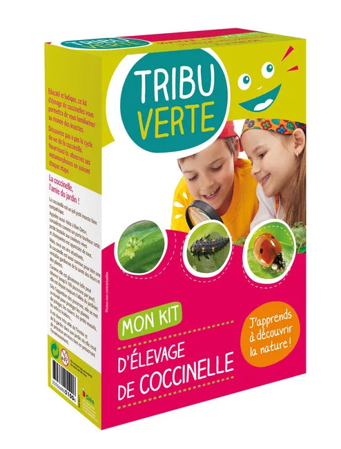Kit d'élevage de coccinelles TRIBU VERTE