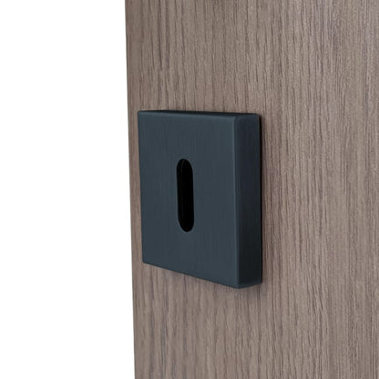 2 rosaces carrées ALPERTEC trou de clé, inox gris anthracite F2