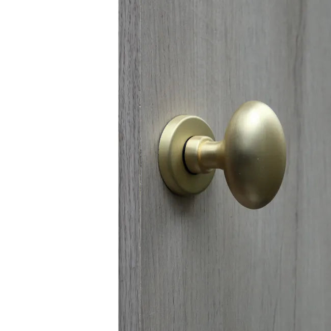 1 bouton sur rosace ovale LINEA BERTOMANI sans trou laiton brossé A3