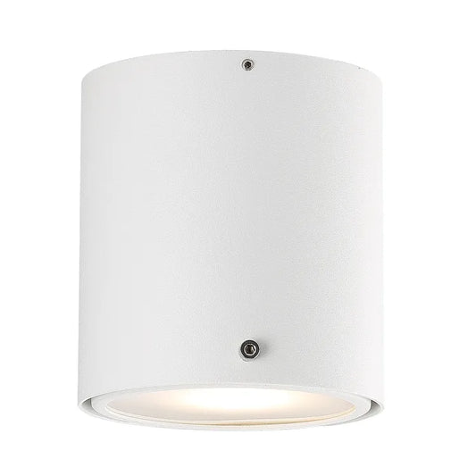Spot à fixer salle de bains IPS4 orientable led GU10 blanc
