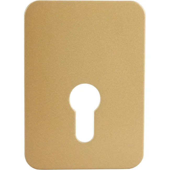 Plaque de renfort pour verrou renforcé, STANDERS 9701eu01std bronze