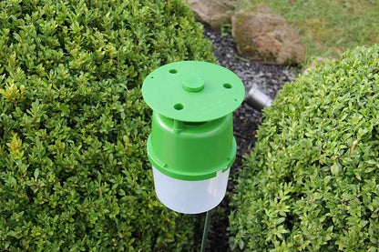 Traitement des insectes SOLABIOL, 1 piège + 2 seringues