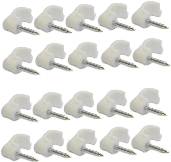 Cavaliers EVOLOGY
