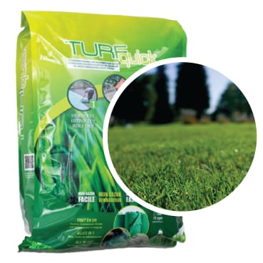 Pelouse rustique TURFQUICK 10 m²