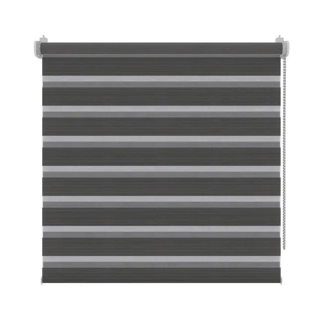 Store enrouleur jour/nuit Dual anthracite, l.65 x H.160 cm, DECOSOL DELUXE