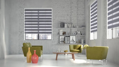 Store enrouleur jour / nuit Authentic anthracite, l.70 x H.190 cm, DECOSOL DELUXE