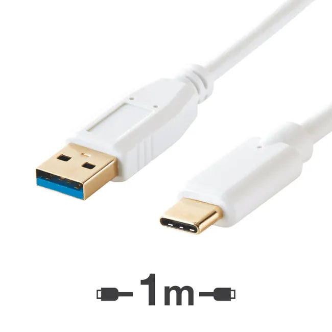 Câble chargeur usb type c, 1 m blanc EVOLOGY