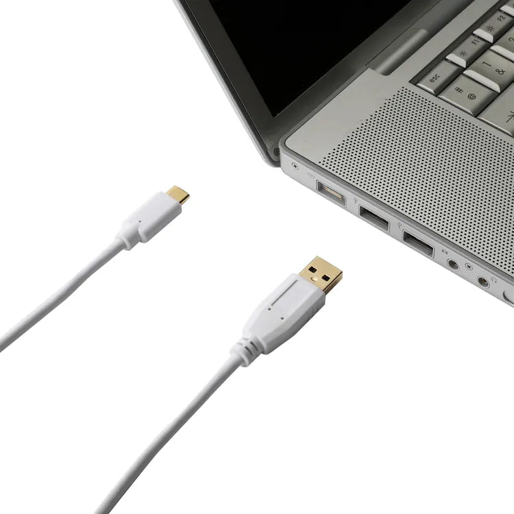 Câble chargeur usb type c, 1 m blanc EVOLOGY