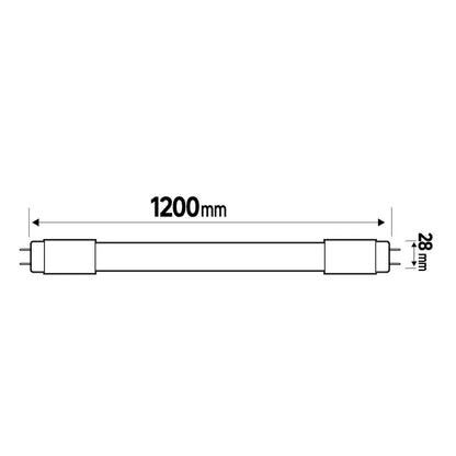 Tube led droit G13 blanc 16.2 W blanc chaud, LEXMAN